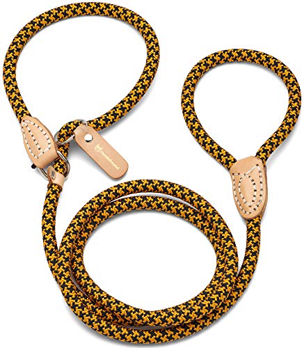 Hundefreund Guinzaglio Scorrevole e Lasso per Cane - Anti-Trazione per Addestramento/Educazione