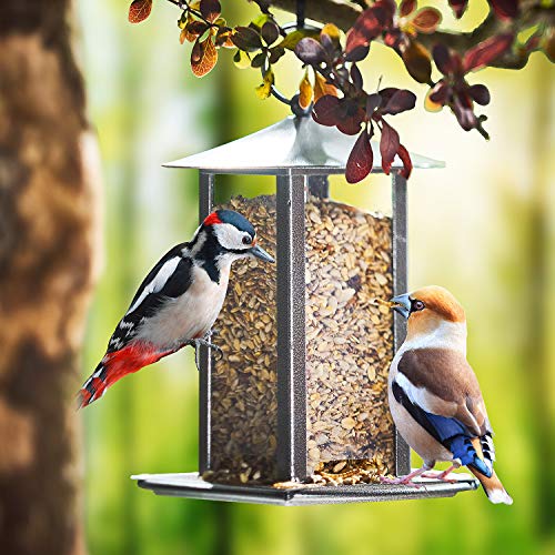 Pauls Mühle Wildvogelfutter Deluxe 5 kg