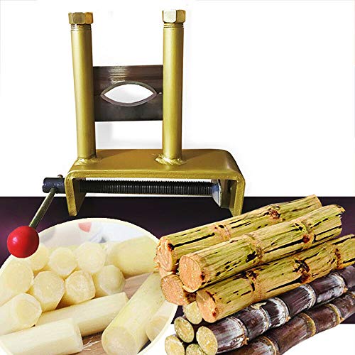 Best Sugar Cane Juicer For Home