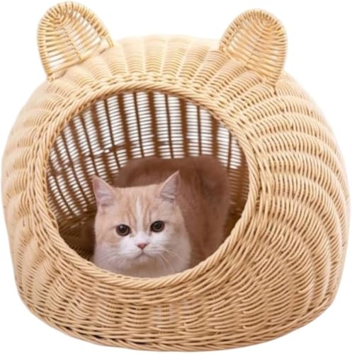 CokBluLbgnEX h[^LnEX ِ Lxbhp ݌v lGjo[T ^ې􂢉\ ʋCǍD fUC LELp ɂK L̋xԂɍœK CeAɗn?