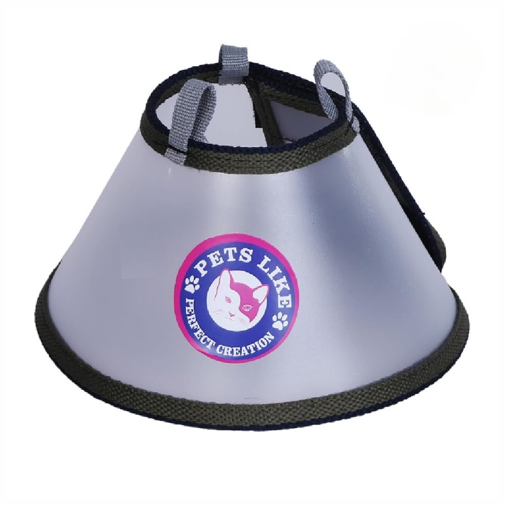 Cat E Collar(Size3), Multicolor (GE-PL0025)