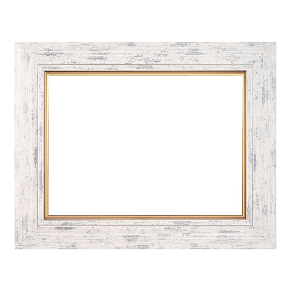 Amazon.co.jp: 大額 油額 8240 F3 S/ホワイト UVカットアクリル