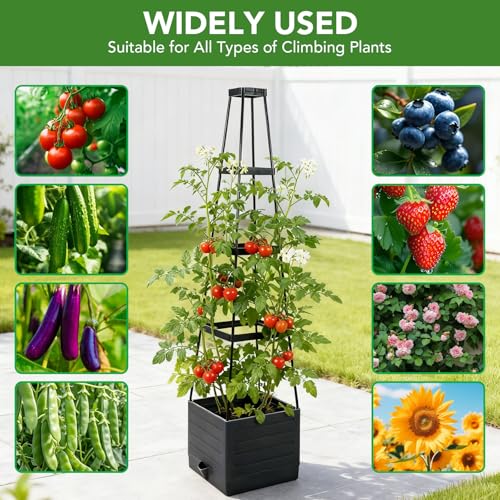 2 Pack Raised Garden Bed Planter Box with Trellis, 57'' Self Watering Tomato Planters for Climbing Plants, Tomato Cage Trellis for Vegetables & Vine Flowers Indoor Outdoor Patio - Image 5