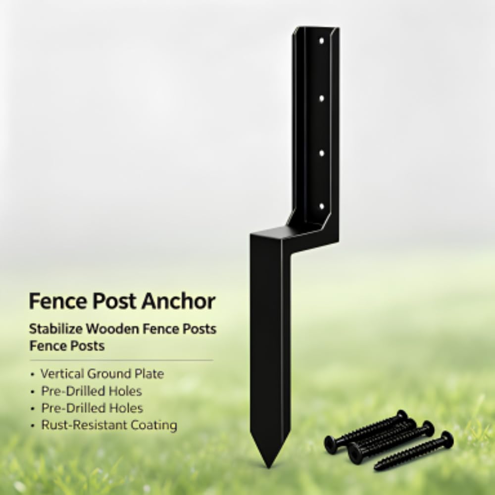 View 3