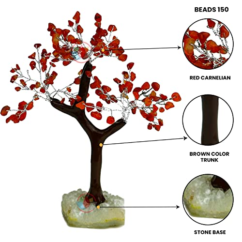 Image of REMEDYWALA Charged Red Carnelian Crystal Tree Cluster Base for Reiki Healing (150 Beads)