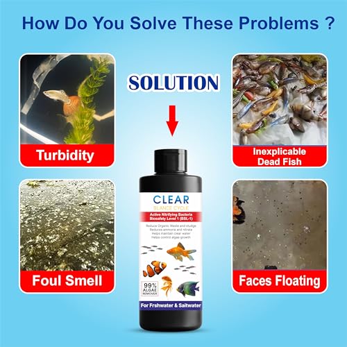 Image of Beyond Fill Automatic Fish Tank Cleaner Liquid | Cloudy Water Remover for Crystal Clear Aquarium Water | Algae Remover |Buy 1 Get 1 Free(100ML Each)