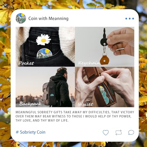Image of Sunlight 43 Year Sobriety Coin - Recovery 43 Year AA Coins - Serenity Prayer NA AA Chips and Medallions - 1-65 Prime Living Clean Sober Token - Narcotics Alcoholics Anonymous Gifts for Men Women