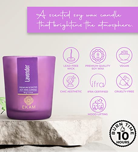Image of EKAM Lavendar Votive Soy Wax Scented Candle, 40 Grams, 10 Hours Burn Time| Long Lasting Premium Candles | Ideal for Home Decor | Gifting & Aromatherapy (Pack of 12)