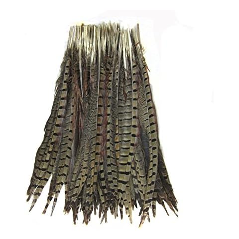 KOLIGHT Set of 10pcs Natural Dyed Pheasant Tails Feathers 12-14 Inch DIY Decoration (Natural) Cover