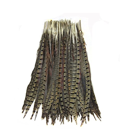 KOLIGHT Set of 10pcs Natural Dyed Pheasant Tails Feathers 12-14 Inch DIY Decoration (Natural)