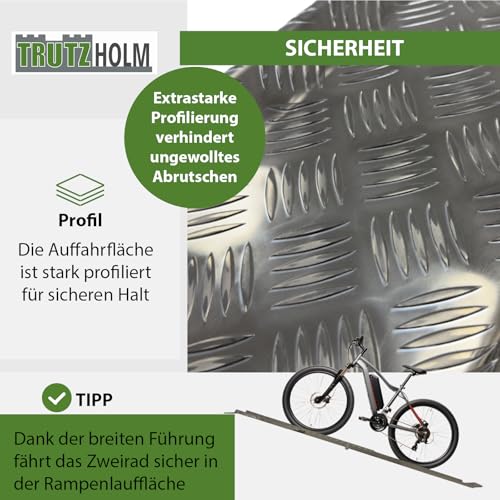 TRUTZHOLM Treppenrampe Auffahrschiene 150-270 cm verstellbar Alu grau Rampe für E-Bike Fahrrad