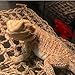 Bearded Dragon Hammock Reptile Lounger for Chameleon, Lizards, Geckos, Snakes, Lguana Reptiles, Tortoises Reptile & Amphibian Habitat Décor