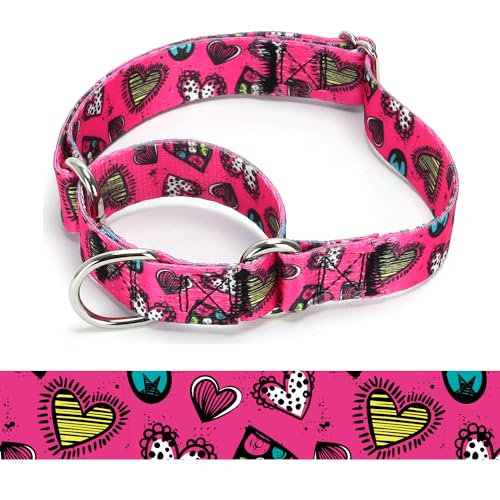 Bbmmayy Martingale 犬用首輪 - 調節可能なソフトドッグカラー.カラフルな花 マルチカラー かわいいパターン 子犬用 中型大型犬 ウォーキング ランニング トレーニング (5、L:2.5cm 幅45-53cm ネック用)（Amazon）