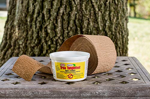 Tanglefoot 0461306 Insect Barrier Kit Combo #TOP1