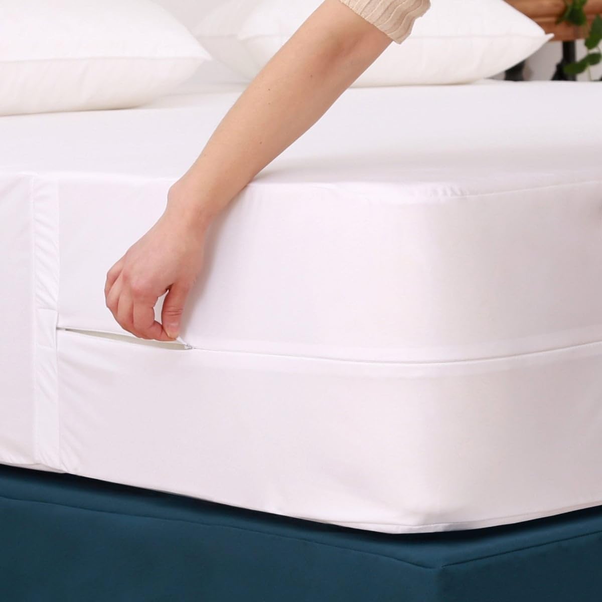BPTBSEQ BPT Collection Queen Box Spring Encasements 2 PK