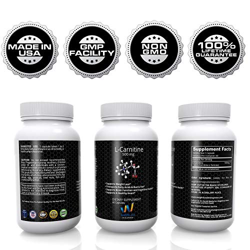 L CARNITINE Powder Tartrate Supplements 500 mg for Weight Loss Management - Non GMO Diet Pills with Amino Acid - 60 Capsules