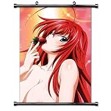 High School DxD Anime Fabric Wall Scroll Poster (32x48) Inches [A] HighSchoolDxDPart2-56(L)