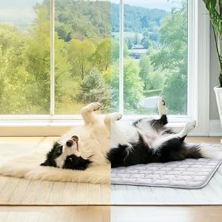 luciphia Tappetino Refrigerante Cane e Gatti,Tappeto per Cani,Cuscino Rinfrescante Estivo,Cuccia Lavabile per Cani,Coperta Rinfrescante per Cani di Taglia Grande,Media e Piccola Grigio 51 * 77cm