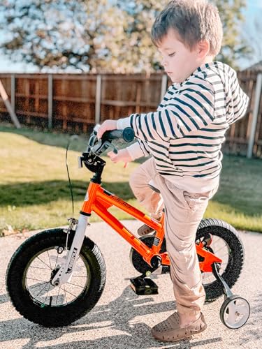 Image of RoyalBaby Bicycle for Kids Cycle for 3-5 Years Boys & Girls 12 inch | Training Wheels | Adjustable Seat | 1 Year Warranty | Orange