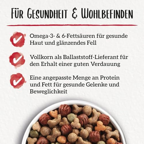 Beneful Hundetrockenfutter Huhn & Süßkartoffel, 1,4 kg