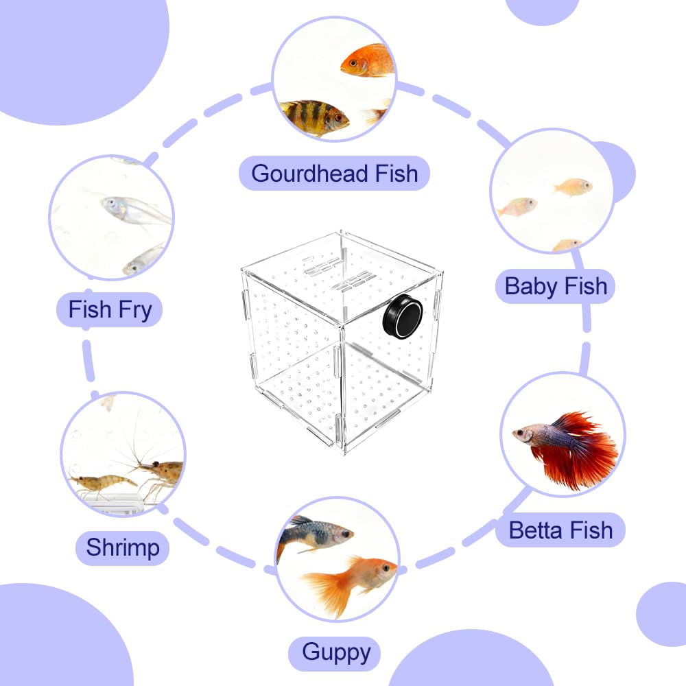 Caja de cría de peces, contenedor acrílico de aislamiento de peces, incubadora de acuarios con fijación magnética para peces y camarones