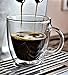 Dewstone Espresso Cups with Espresso Paddles (SET OF 2). Fits ALL Nespresso Machines. 5.4 oz Espresso Glasses. Insulated Double Wall Thermo Mugs, 2PACK