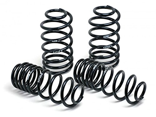 HR Sport Springs (29484)