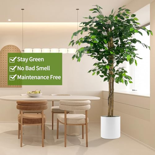 Comparativas de Árbol ficus - solo los mejores. 12 Comparativas de Árbol ficus - solo los mejores. 12