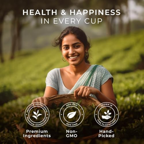 Image of Gya Tea Co Mid-Day Refresh Tea Pods Variety Pack - 4 Flavors Tea K Cups for Keurig (24 ct) - Ceylon, Lemon, Oolong & Earl Grey Keurig Tea Pods for K-Cup Brewing - K Cup Tea Pods for Keurig Tea Gifts