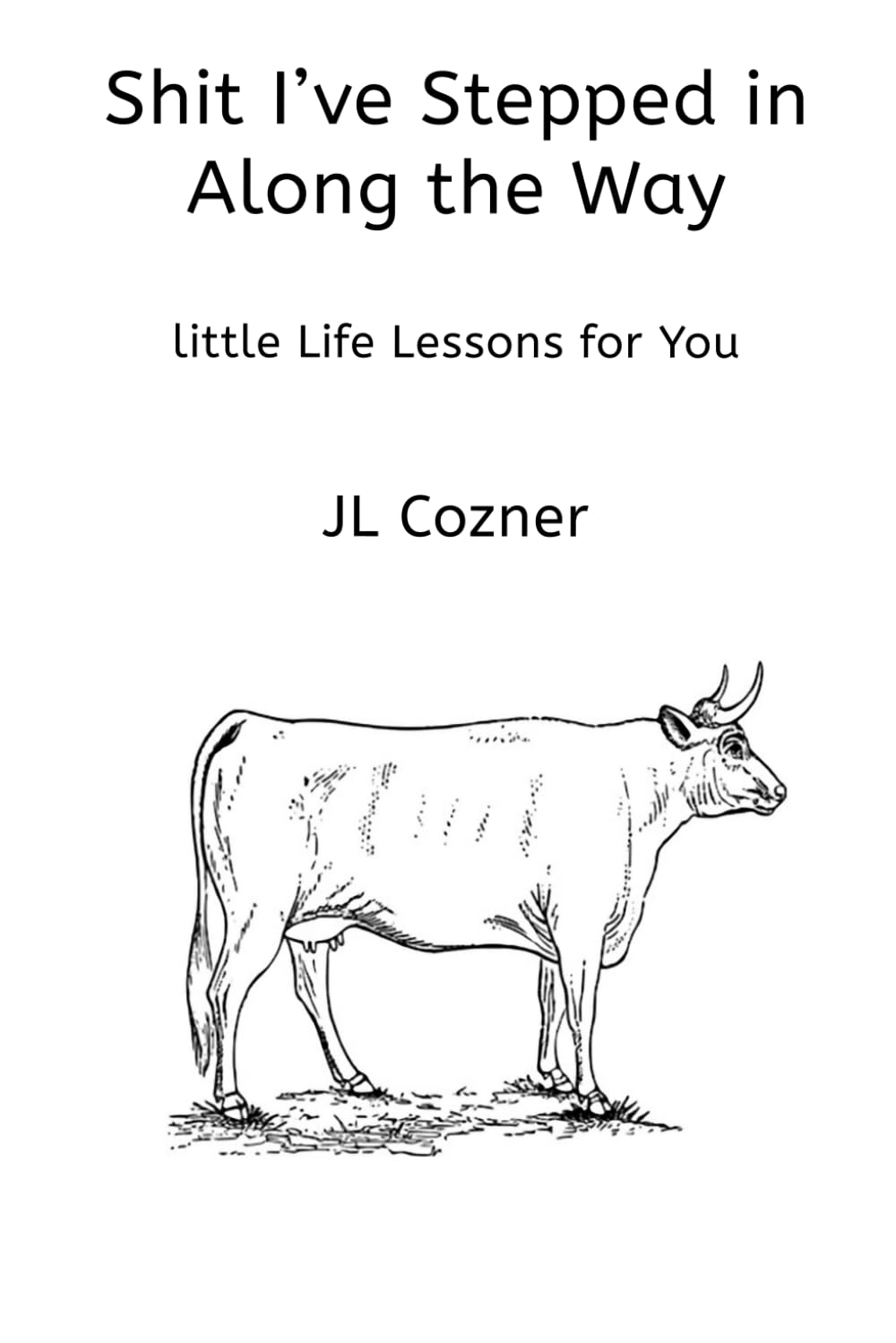 Shit I've Stepped in Along the Way: Little Life Lessons for You