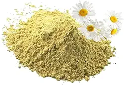 Chá Camomila Flores em Pó (Matricaria recutita) 100g com Laudo