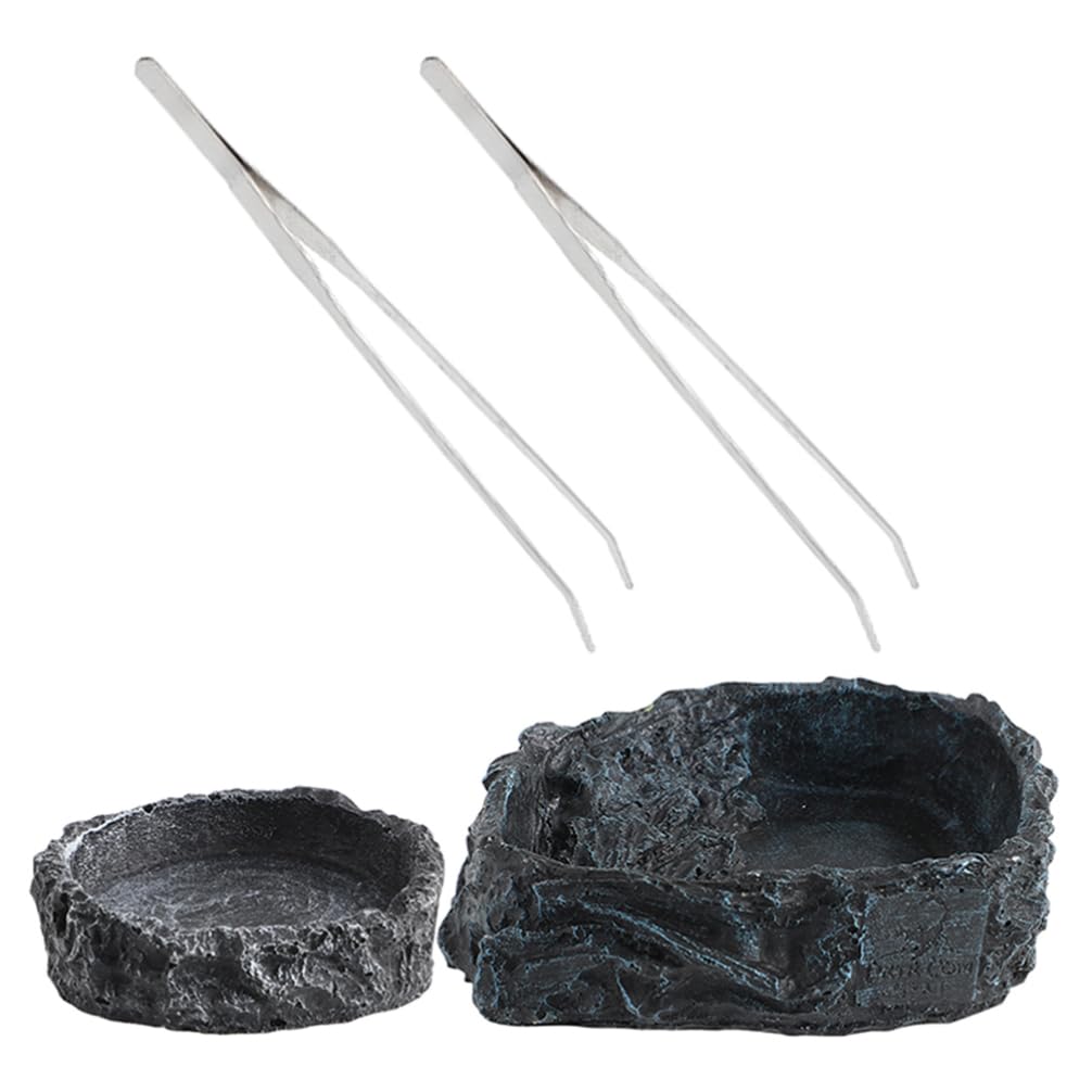 Alipis 1set Ciotola per Rettili con Pinzper Alimentazione Ciotola per Cibo per Tartarughe e Draghi Barbati Design Versatilper Terrario Accessori per Rettili e