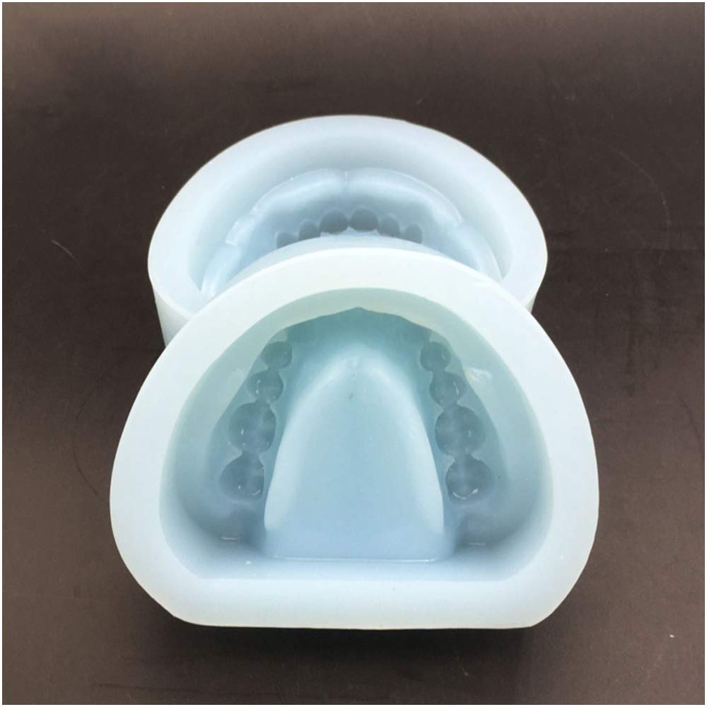 Stampo Per Mascella Dentale Modello Denti - Stampo In Silicone Morbido Stampo Negativo Dentale - Bocca Orale Stampo Per Cavità Senza Denti - Modello In Gesso Senza Denti Rimodellante - Per L'Insegna