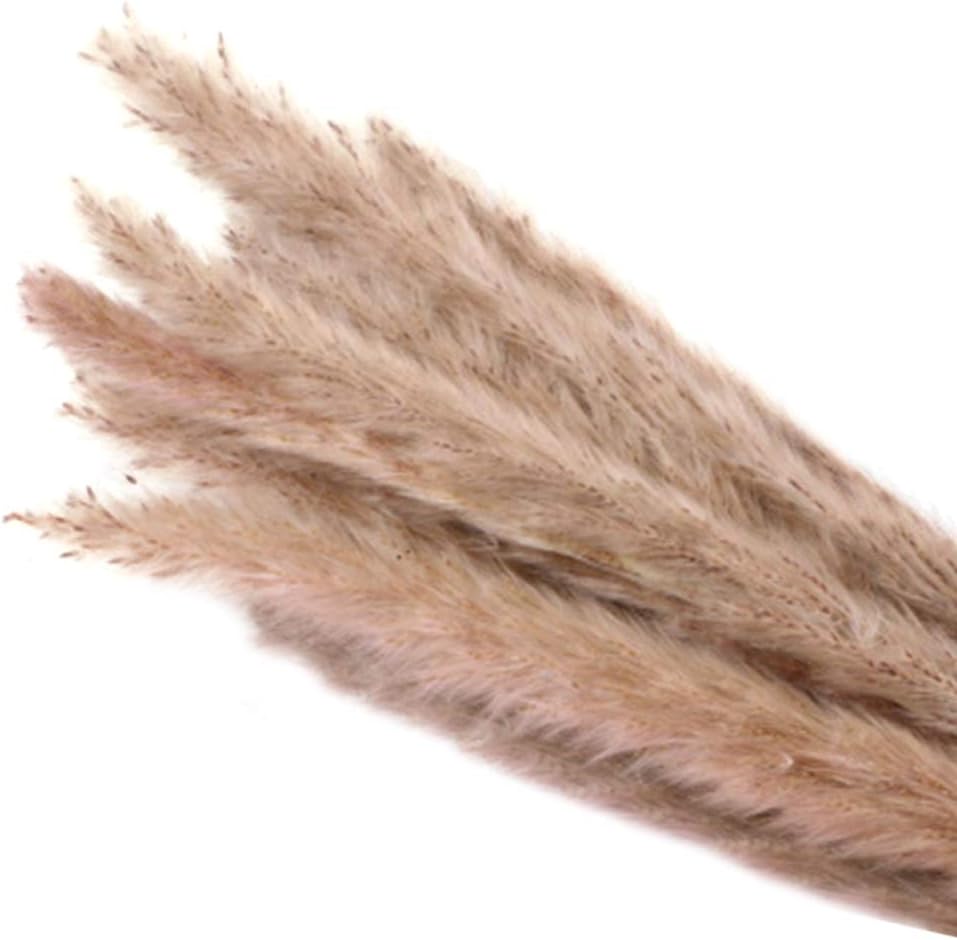 Luxurat Feather Small Pampas Grass Bunch, 15 Pcs Dried Small Pampas Grass Phragmites Communis Decoration for Home Hotel Wedding