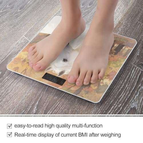 Báscula Digital de Baño Horse Blanco Acuarela LCD 400 Lb miniatura 5