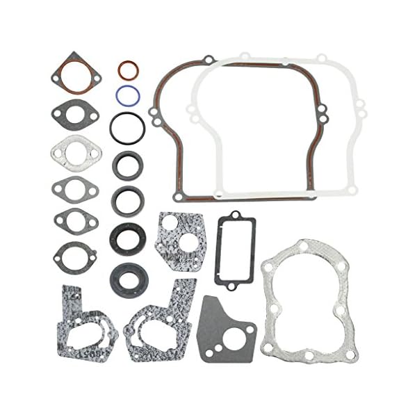 Briggs & Stratton Motordichtsatz 495603 397145, 297615