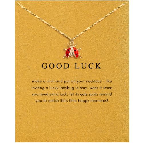 OBSUN Ladybug Necklace Good Luck Gifts Red Ladybugs Gifts for Women Miraculous Ladybug Jewelry(Ladybugs)