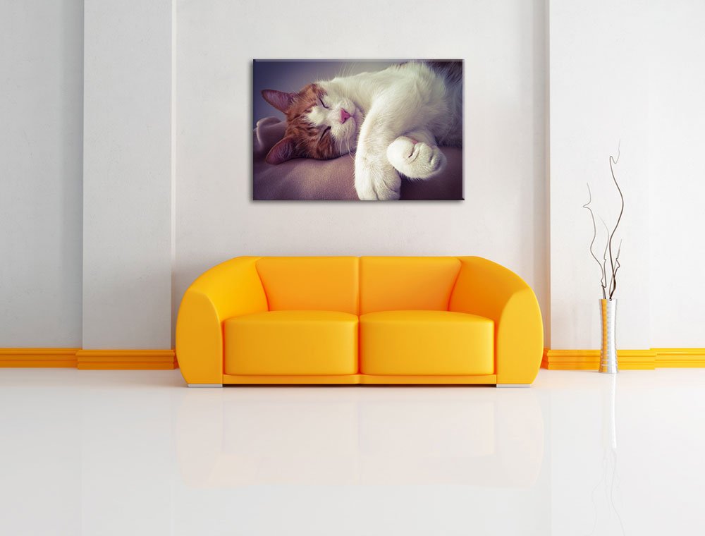 InstyleArt Stampa Su Tela Gattino E Cane Che Si Coccolano - Quadro 80x60 Cm, Ready To Hang, Made In Germany