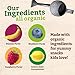 Pumpkin Tree Peter Rabbit Organics, Organic Raspberry, Banana and Blueberry 100% Pure Fruit Snack, 4 oz. Squeeze Pouches (Pack of 10)