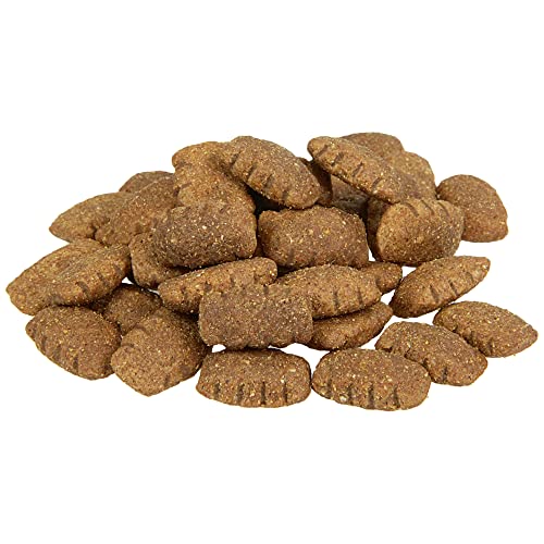 Insekten Hundefutter Schecker Trockenfutter für Hunde – hypoallergen