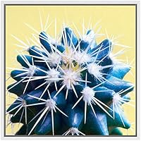 SIGNWIN Framed Canvas Wall Art Echinocereus Triglochidiatus Hedgehog Cactus in Yellow Botanical Succulent Photography Realism Modern Closeup Fun for Living Room, Bedroom, Office - 16x16 inches