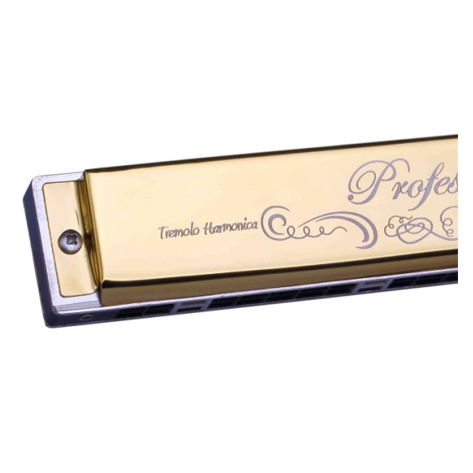 Mundharmonika 24-Loch polyphone C-Mundharmonika für Anfänger(Gold)