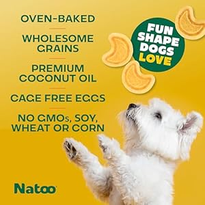 Natoo Dog Biscuits for Small Dogs  Puppies Crunchy Dog Treats Sweet Potato  Pumpkin Healthy Natural Dog Biscuits Rich in Omega 6 Prebiotics  Fibers Antioxidants for Immunity 8 Oz  Cucciolini Doodles Natoo dog biscuits for small dogs  puppies crunchy dog treats sweet potato  pumpkin healthy natural dog biscuits rich in omega 6 prebiotics  fibers antioxidants for immunity 8 oz   cucciolini doodles