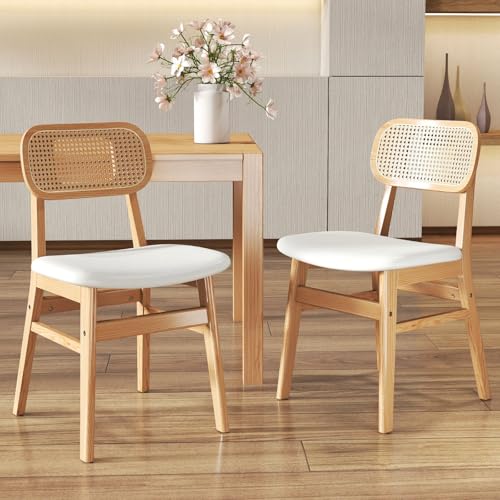 ROCITY Rattan Dining Chairs Set of 2