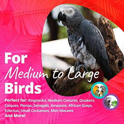 Fltaheroo Bird Forager Bird Toy with Colorful Birds & Flowers,Bird Cage Toys Supplies,Parrot Toys Stands for Conures - Afbeelding 5