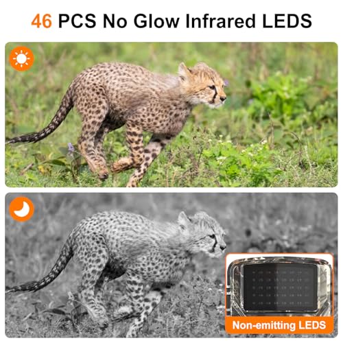 HNCY 4K Video Wildtierkamera, 60MP Full HD WLAN Wildkamera, Bewegungssensor, Nachtsicht, 0,8s Auslösezeit, Wildkamera mit 32G Speicherkarte & Kartenleser IP66 Wasserdicht
