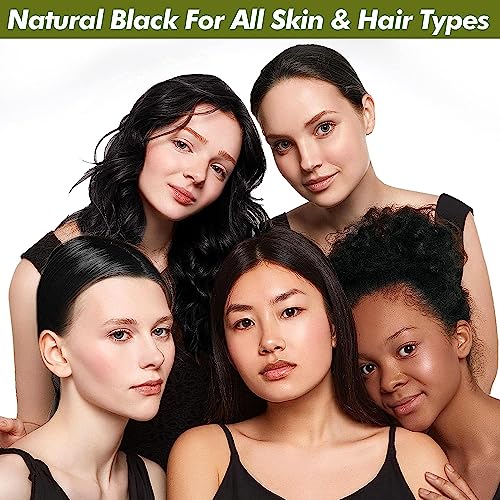 Dexe Black Hair Shampoo for Natural Hair, Temporary Instant Hair Dye Maintain, Easy to Use, Lasts 30 Days, Natural Ingredients (Pack of 10)