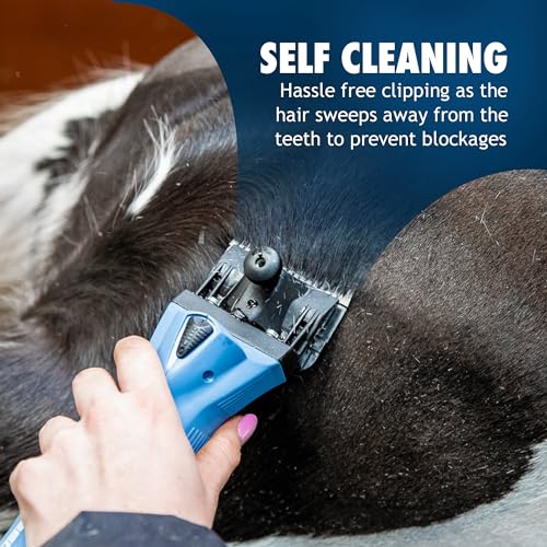 Lister A2/AC (Medium) Blade, Horse Clipper Blade, Equine & Livestock Clipping, General Grooming, Suitable for Horses & Livestock, Animal Clipper Blade, 35 Teeth, 2.5mm Cutting Length - Image 5