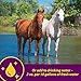 Farnam Horse Health Apple-Dex Apple Flavored Electrolytes 30 pound 240 days