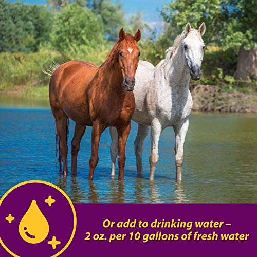 Horse Health Apple-Dex 5 lb